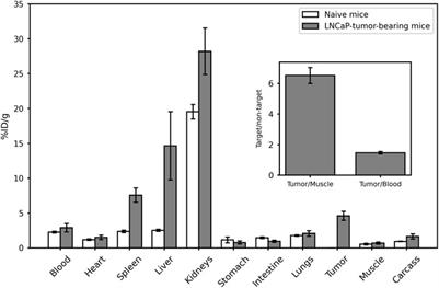 Radiochemical and biological assessments of a PSMA-I&S cold kit for fast and inexpensive 99mTc-labeling for SPECT imaging and radioguided surgery in prostate cancer